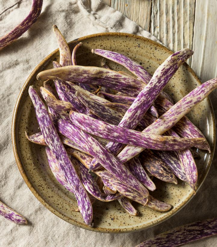 Bean ''Dragon Tongue'' - Dragon tongue bush bean from Prides Corner Farms