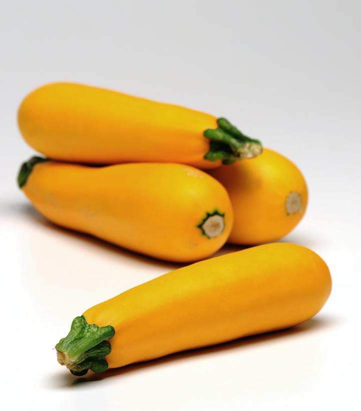 Image Credit: Ball Horticultural