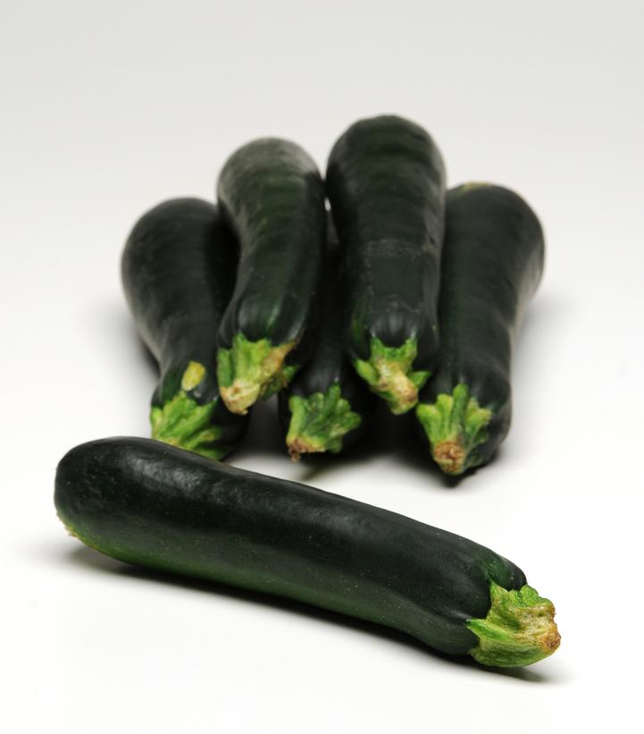 Image Credit: Ball Horticultural