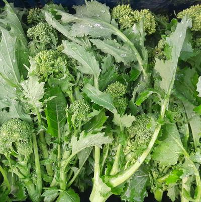 Broccoli 'Spring Raab'