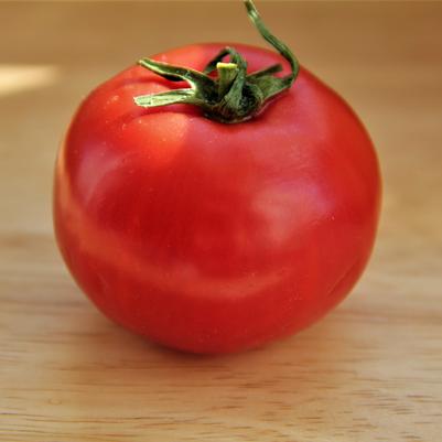 Tomato 'Jetstar'